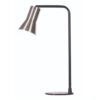 570mm tall industrial style task lamp for office desks