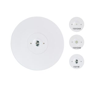Recessed LED emergency light with battery replacement for offices and malls