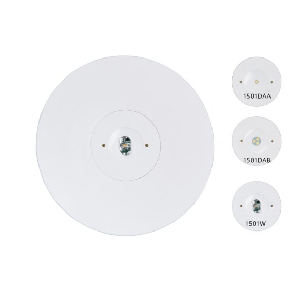 Recessed LED emergency light with battery replacement for offices and malls