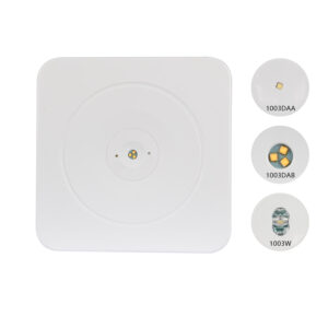 LEM surface mounted emergency exit light IP20 for offices, malls, and hospitals