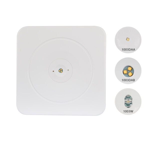LEM surface mounted emergency exit light IP20 for offices, malls, and hospitals